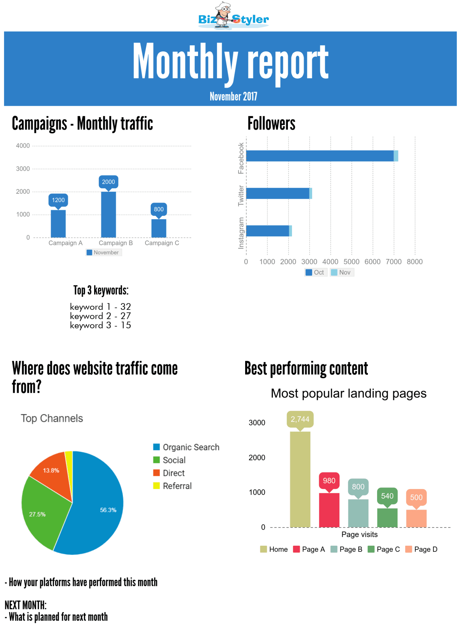 Bizstyler - Monthly Report Template