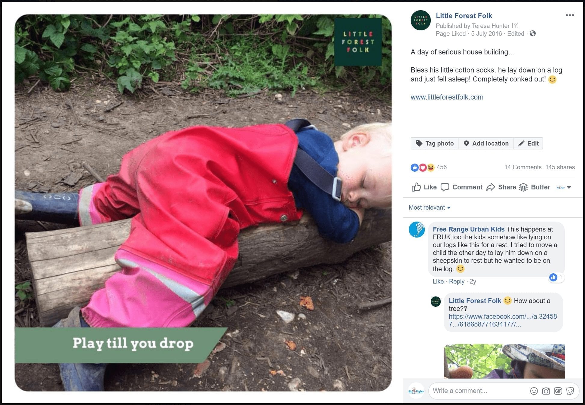 Little Forest Folk - Facebook Post